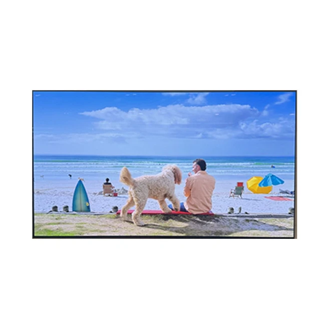 추천8 oled65c4