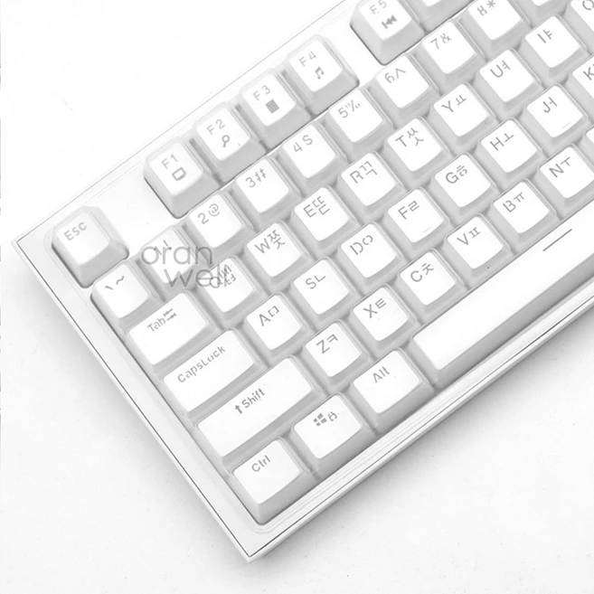 추천10 ck87 키스킨