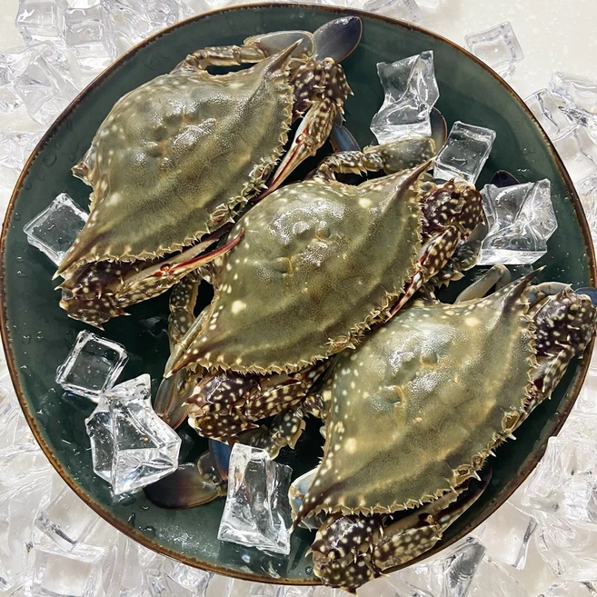 제철 꽃게 가을 활꽃게 2kg 생물 암꽃게 산지직송 꽃개 3kg, 1개, 활 암꽃게 3kg