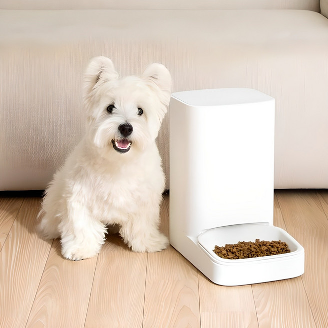 추천5 고양이 자동 급식기