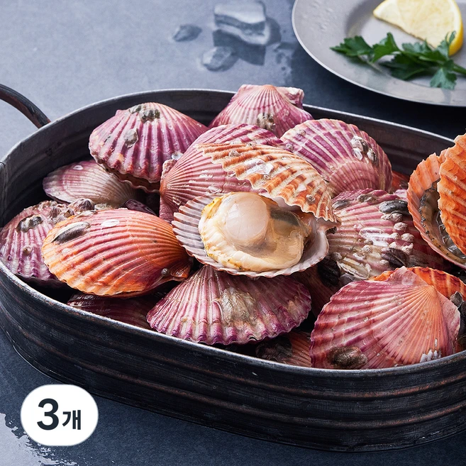 어부심 고흥 통통하게 살이오른 제철 가리비 (냉장), 1.5kg, 3개