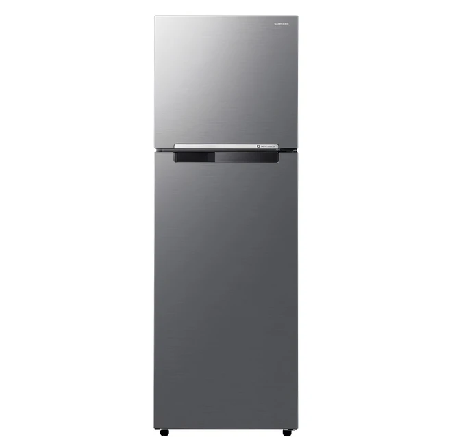 삼성전자 일반 255L 2도어 냉장고, RT25DARAHS9