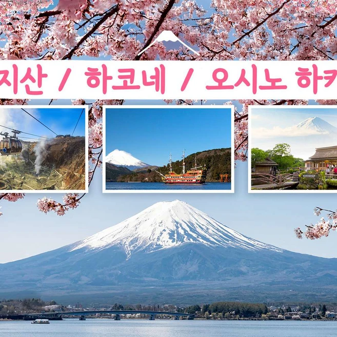 [일본 도쿄] ★1명도 무조건 출발★ 하코네 + 오시노핫카이 당일 여행 [C코스]