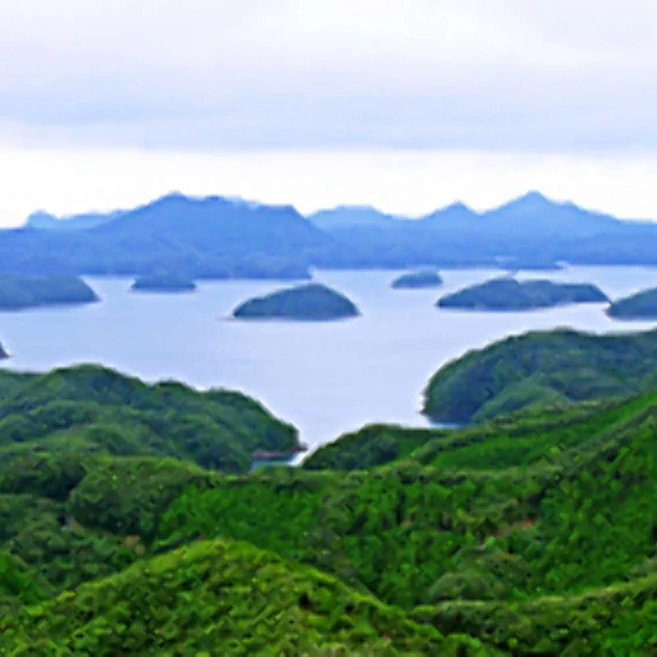 [대마도] [하나투어]부산출발 선박 [출발확정]대마도 2일 #JCP421L0J #쓰시마링크호