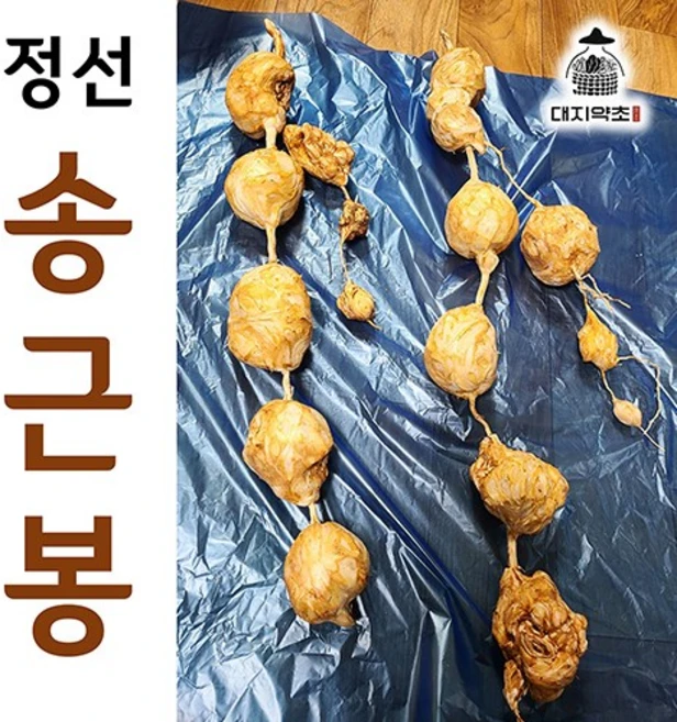 100% 자연산 강원도 정선 송근봉 1kg 직접 채취하고 다듬은 송금봉, 송근봉 1kg(연결 작업 X), 1개