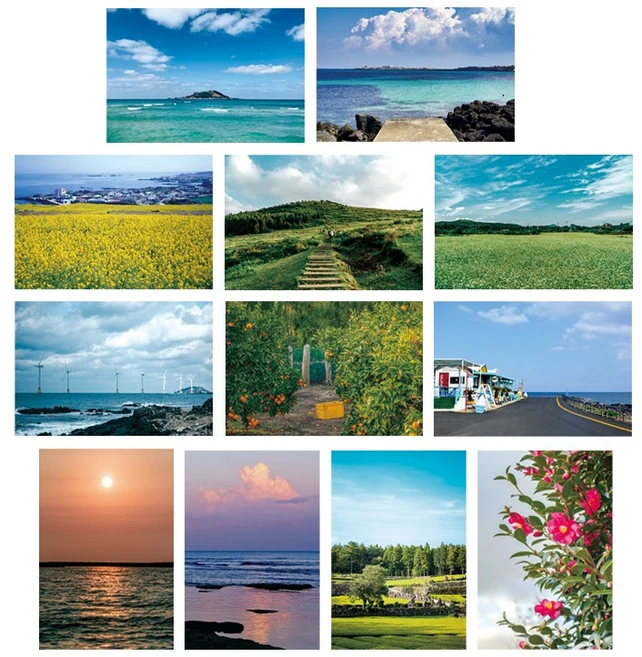 제주도 바다 풍경 엽서 세트 (12장), 1세트 (12장)