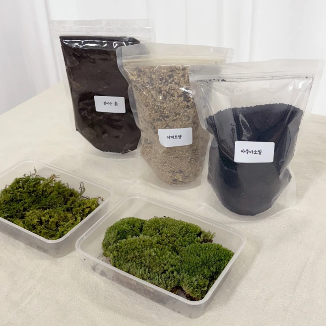 이끼 테라리움 만들기 diy 키트 테라리움 재료 모음 세트 중형 1개