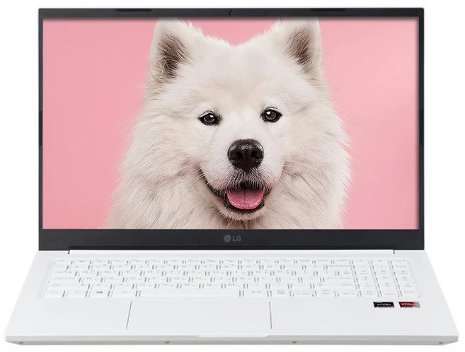 LG전자 2023 울트라 PC 15, White, 2TB, 32GB, WIN11 Home, 15UD40R-GX56K