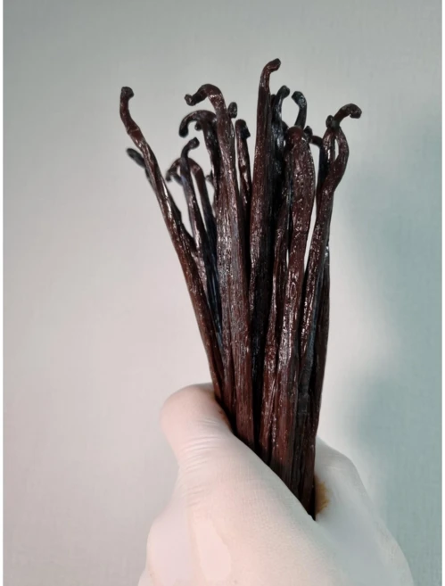 마다가스카르 프리미엄 바닐라빈 30g, 1개