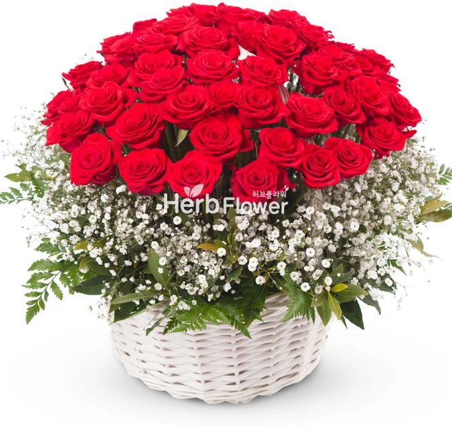 꽃뜨랑 생화꽃바구니 케익 생일선물 개업꽃 축하선물 전국당일꽃배달, C05 고백, 1개