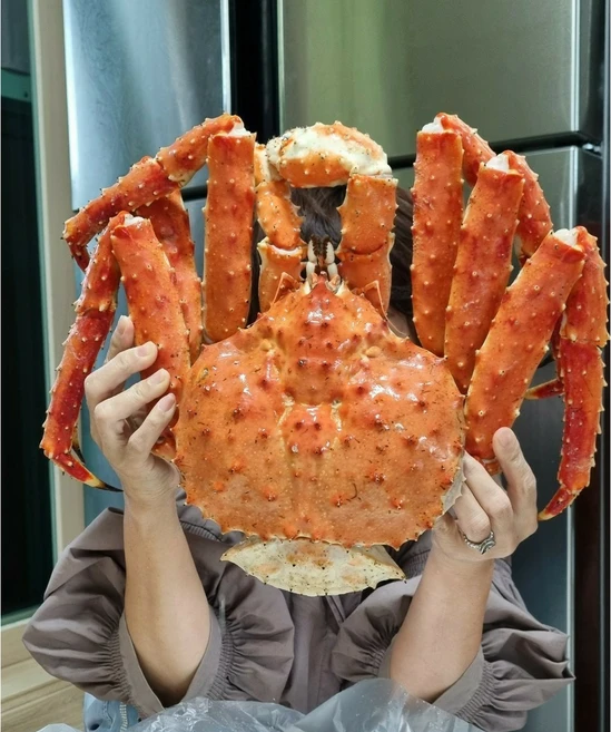 최상급 러시아 프리미엄 레드킹크랩(살수율 90% 이상), 1개, 3.6kg