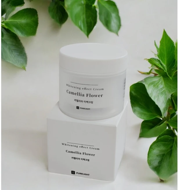 [미백종결]+퓨어라이트 카멜리아 미백크림 50ml 1개 PURELIGHT Whitening Cream 화이트닝 브라이트닝 하얀피부의 기적 미백효과 나이아신아마이드 고보습, 2개