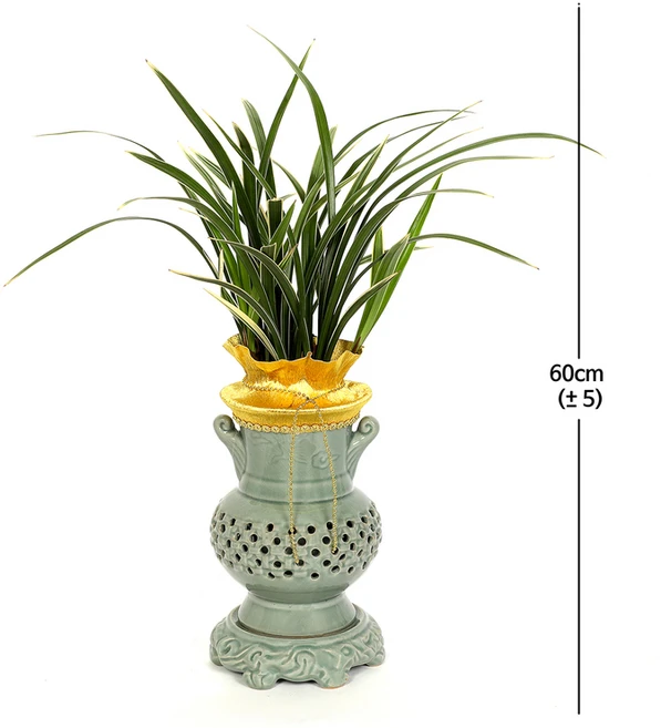 (코스트코 상품) [서울/경기배송] 동양란황용금