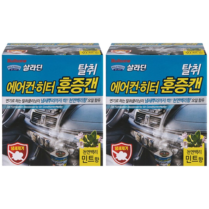 불스원 폴라패밀리 살라딘 에어컨 히터 탈취 훈증캔 민트향 본품, 4.8g, 2개 대표 이미지 - 훈증캔 추천