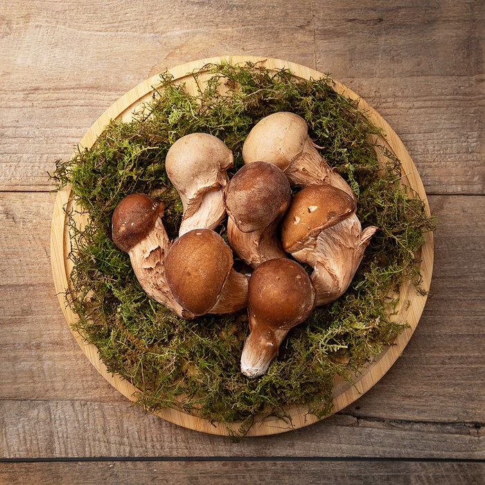 국내산 참송이버섯, 150g, 1개 대표 이미지 - 자연산 송이버섯 추천