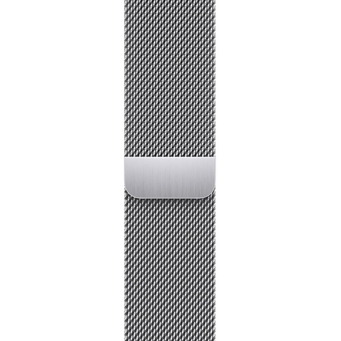 Apple 정품 애플워치 밀레니즈 루프, 41mm, Regular, 실버 대표 이미지 - 밀레니즈 루프 추천