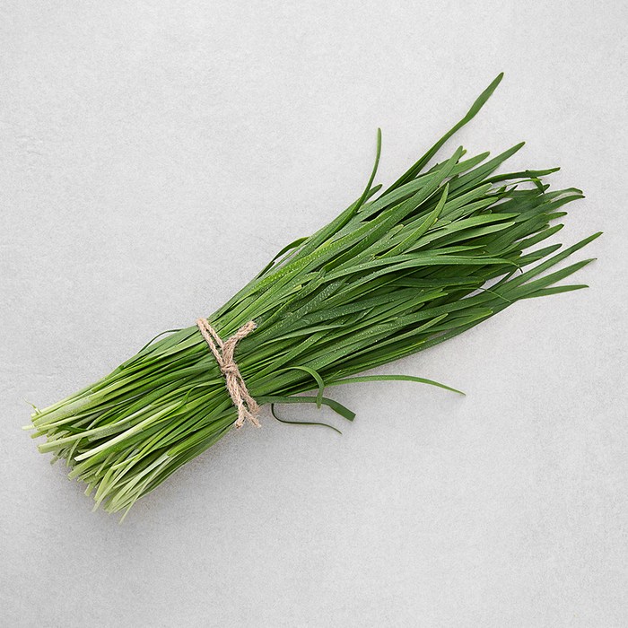 국내산 GAP 부추, 250g, 1봉 대표 이미지 - 다진 채소 추천