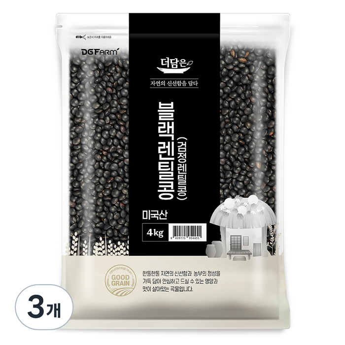더담은 미국산 블랙렌틸콩 검정렌틸콩, 3개, 4kg 대표 이미지 - 렌틸콩 추천