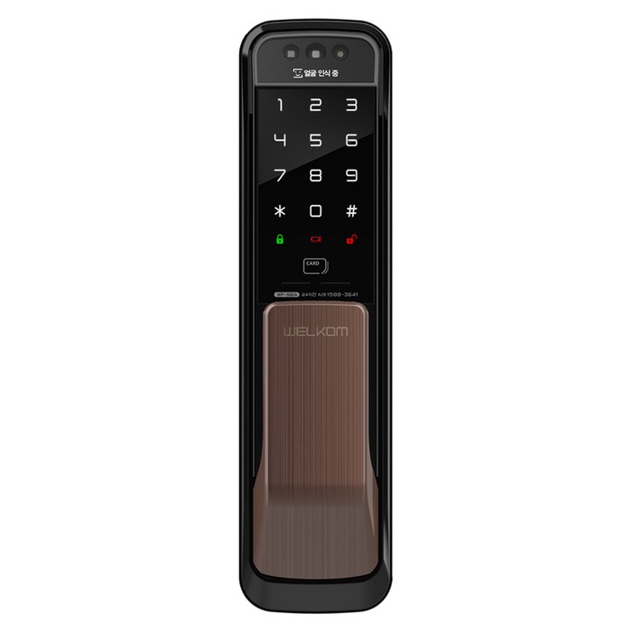 솔리티 얼굴인식 무타공 푸시필 손잡이 도어락 WP-500A