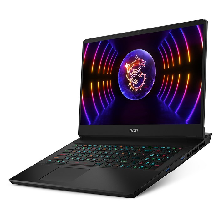 MSI 2023 벡터 GP77 13VG 17.3, 블랙, 코어i9, 1TB, 16GB, Free DOS, MS-17K 대표 이미지 - MS-17K 추천