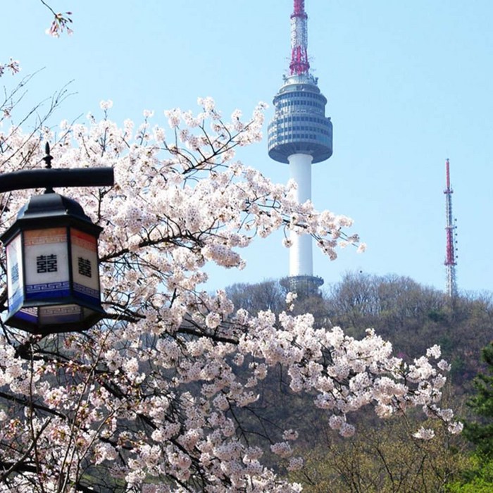 [남산] N서울타워 연간멤버쉽 (유효기간~2023/5/31) 대표 이미지 - 서울 전망대 추천