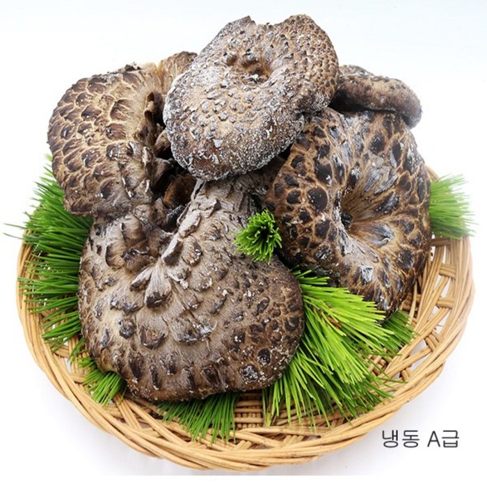 (청림송이 능이) 자연산 능이버섯(특품)냉동, 1개, 냉동능이/B급(대)/1kg 대표 이미지 - 자연산 송이버섯 추천