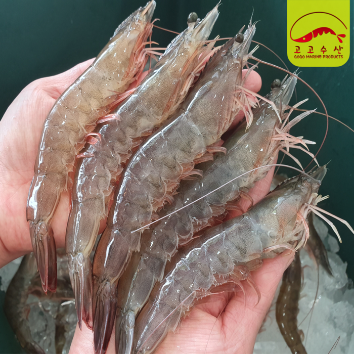 고고수산 국내산 급냉 왕새우 1kg(23~28미) 신안새우 대하 생새우 활새우 수산물 shrimp, 1개, 1kg