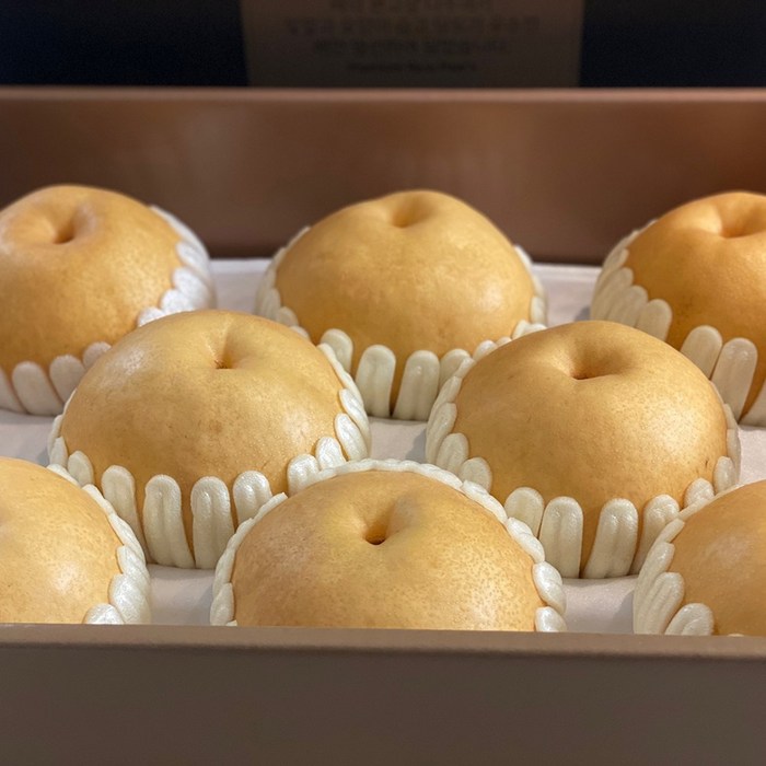 첫 수확 햇배 나주배 선물세트 당도선별 GAP인증 산지직송 5kg, 나주배 5kg(8~10과), 1개 대표 이미지 - 제수용 과일 추천