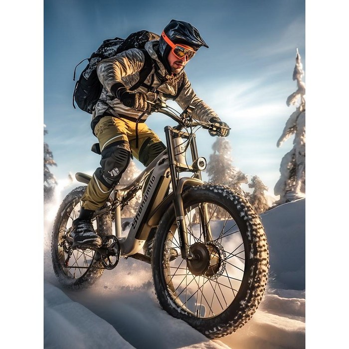 EMTB 전기 산악자전거 전동 오프로드 전기자전거 자토바이