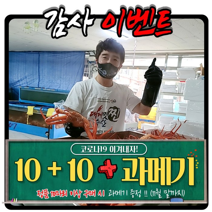 [찐수산] A급 프리미엄 햇 홍게 실속형 홍게 (빠른배송), 정품홍게10미(+일반형홍게10미+과메기SET) 대표 이미지 - 과메기 맛있는곳 추천