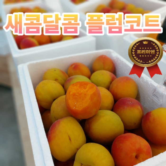 [산지직송] 국산 프리미엄 플럼코트 자두 살구 티파니 심포니 800g 1.6kg 3.2kg, 2-1) 못난이 플럼코트 3.2kg 내외, 1개 대표 이미지 - 살구 추천