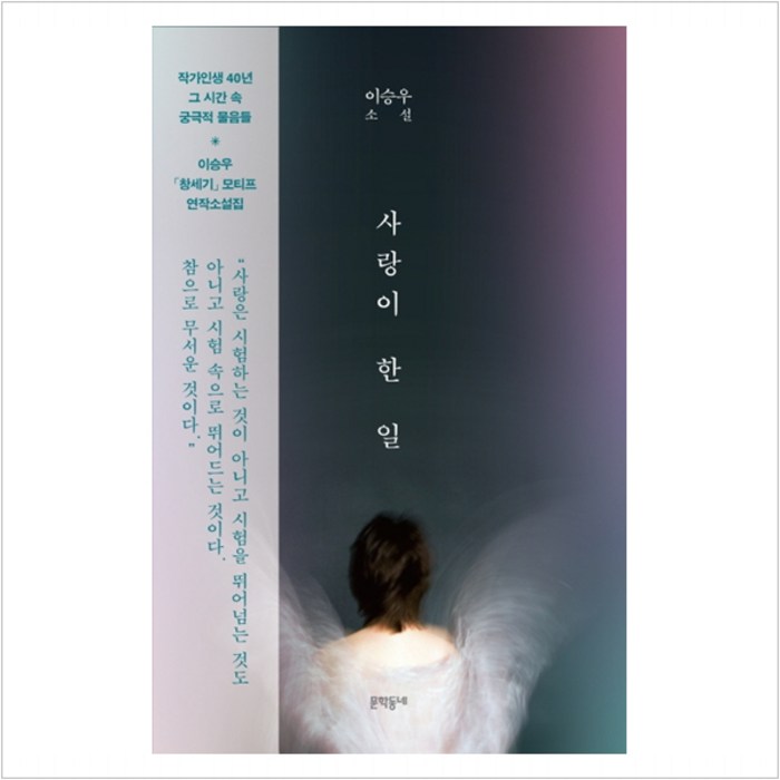 사랑이 한 일:이승우 소설, 문학동네, 9788954675574, 이승우 저 대표 이미지 - 사랑 책 추천