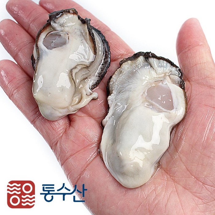 통수산 최상급 통영 생굴 2kg 대표 이미지 - 생굴 추천