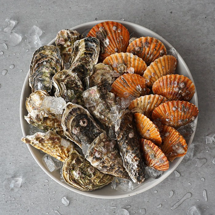 당일조업 통영 제철 석화3kg+홍가리비2kg 세트 [구이/찜용] 각굴 홍가리비, 석화3kg+홍가리비2kg세트 대표 이미지 - 석화 굴 추천