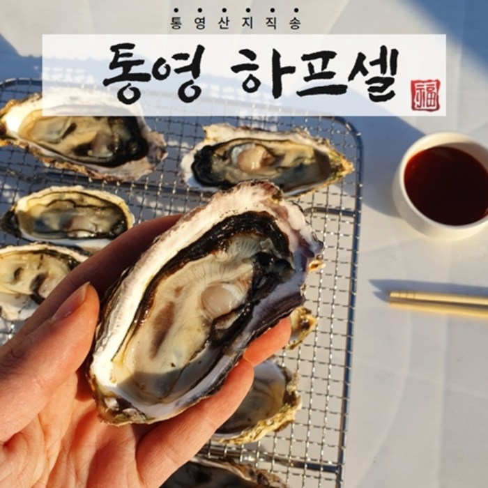 통영 석화 굴 5KG 10KG 20KG 하프셀 각굴, 하프셀 2단(70미) 대표 이미지 - 석화 굴 추천