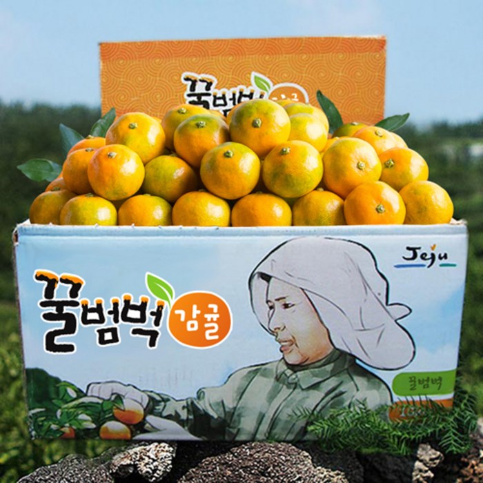 꿀범벅 타이벡 노지 감귤, 4.5kg 중과(L or 2L) 대표 이미지 - 하우스 귤 추천