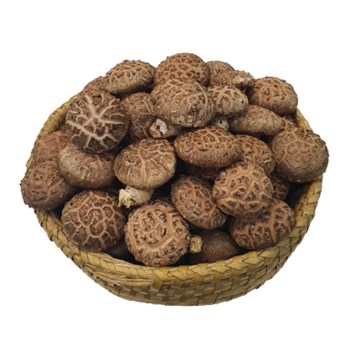 화고버섯 700g 대표 이미지 - 버섯전골 추천