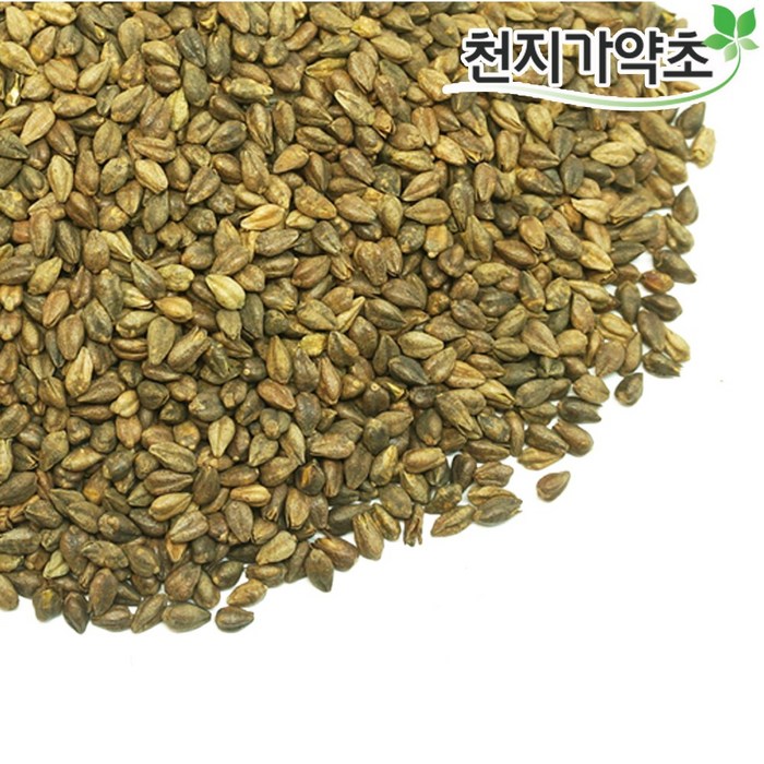 국산 쓴메밀 2kg(1kgX2봉) 타타리메밀 흑메밀 메밀차, 1kgX2봉, 2개, 1개입, 1kg 대표 이미지 - 타타리 메밀 추천