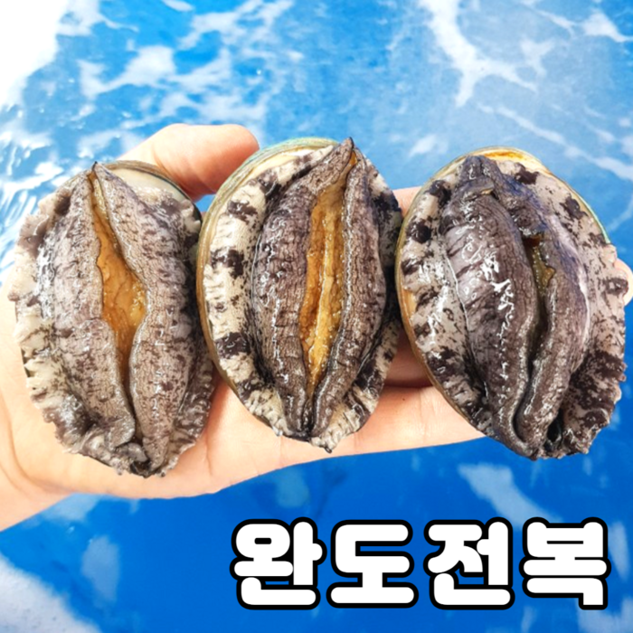 [건강한전복] 완도활전복산소포장1kg 사이즈모음전 [자른미역+세척솔], 8번.18-20미사이즈 대표 이미지 - 자른 미역 추천