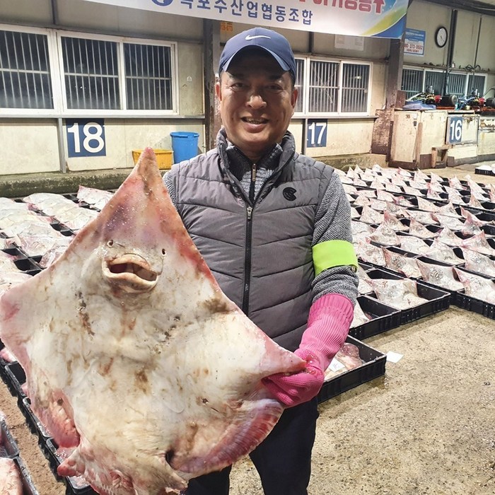 식품애착 흑산도 홍어 100% 국산 참홍어 산지직송, 국산 싱싱 홍어1kg+홍어애(증정), 약한 삭힘 대표 이미지 - 홍어애 추천