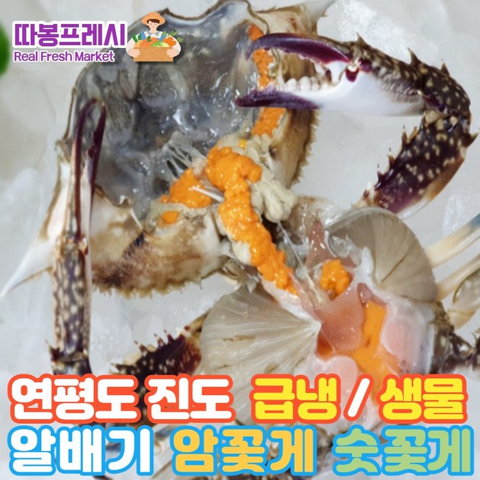 따봉프레시 연평도 진도 알배기 프리미엄 급냉 활 암꽃게 숫꽃게, 급냉 암꽃게 2kg 대표 이미지 - 연평도 꽃게 추천