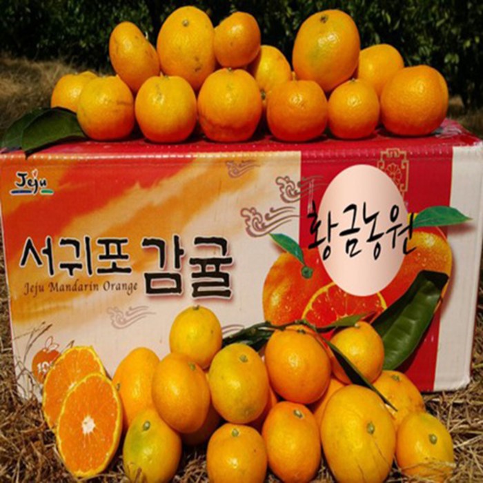 쿠팡 최저가판매 무조건 당일발송 산지직송/당도보장, 1box, 10kg중대과(L-2L) 대표 이미지 - 노지감귤 추천