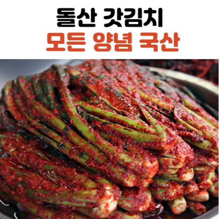 전라도 김치 갓김치 돌산갓김치 1kg 2kg 3kg, 돌산갓김치_2kg, 2개 대표 이미지 - 갓김치 추천