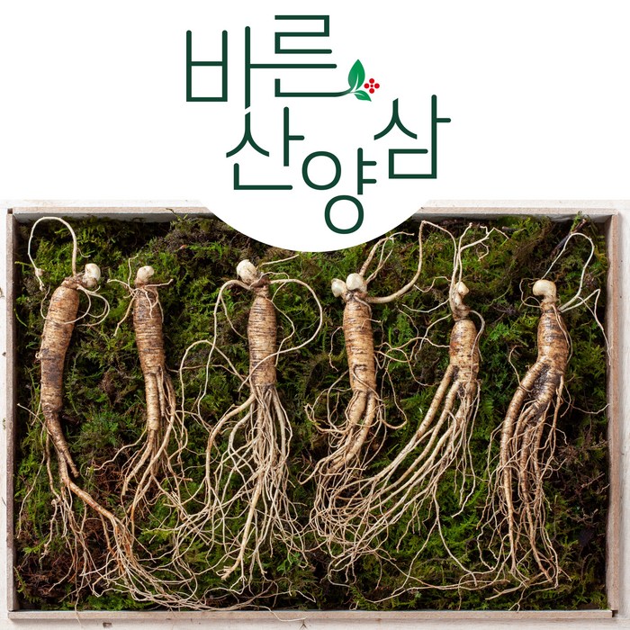 바른산양삼 장뇌삼 7년근 6뿌리 10뿌리 산양삼 부모님 선물 추석 선물 설날 선물 스승님 선물 산양삼 산양산삼 인삼 장내삼 장래삼 장뢰삼, 7년근 10뿌리 대표 이미지 - 인삼 추천