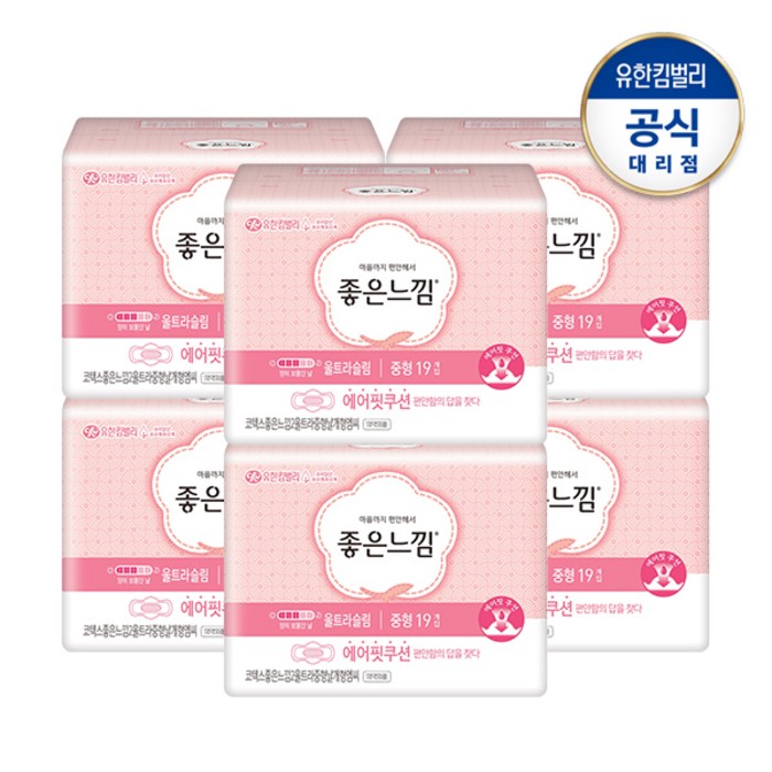 좋은느낌 에어핏쿠션 울트라 날개 중형 19매x6팩 [AM62] 생리대, 6팩, 19매 대표 이미지 - 탐폰 추천