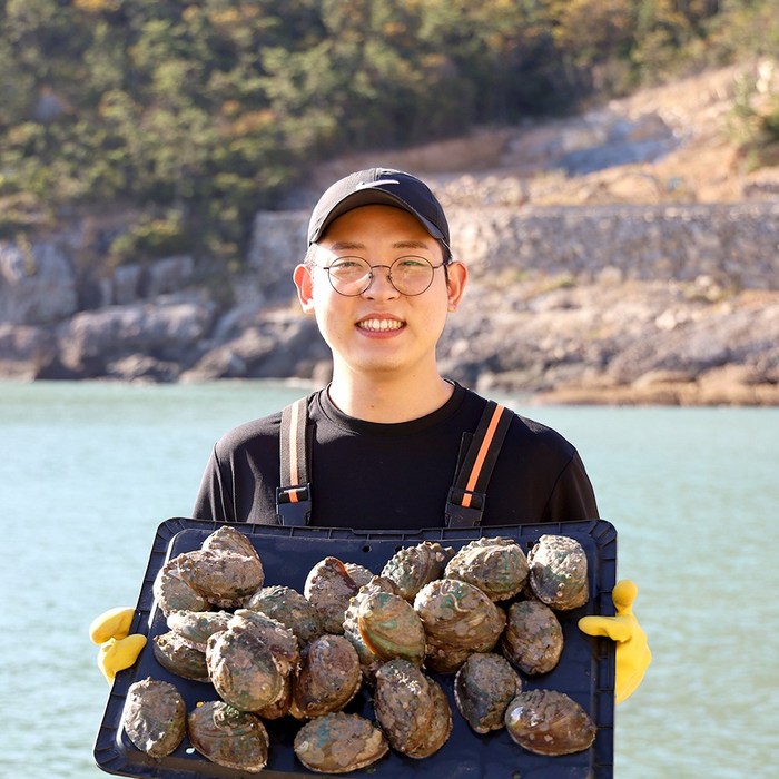 [입점특가] 산지직송 산소포장 완도 활 전복 선물세트, 1개, 1kg 소(16~20미) 대표 이미지 - 전복 선물세트 추천