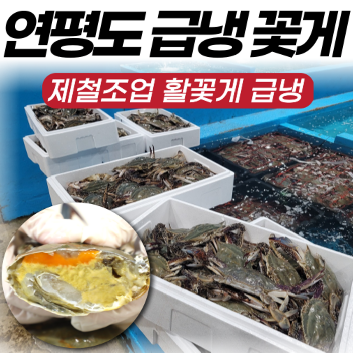 [산지직송] 국내산 서해안 연평도 알배기 암꽃게 숫꽃게 급냉 냉동 꽃게 당일발송, 6. 급냉 알배기암꽃게 특대 2kg(4~6미) 대표 이미지 - 연평도 꽃게 추천