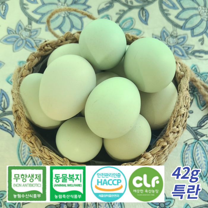 청란 청계란 무항생제 1등급 청계알 42g특란 농장직송, 40구 대표 이미지 - 김계란 추천