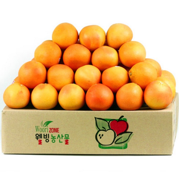 레드자몽 대용량벌크 1박스 (소50과~특대35과), 02.자몽45과(중/개당300g내외) 대표 이미지 - 메로골드 자몽 추천