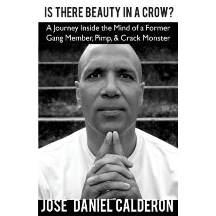 Is There Beauty in a Crow?: A Journey Inside the Mind of a Former Gang Member Pimp & Crack Monster, Createspace Independent Publishing Platform